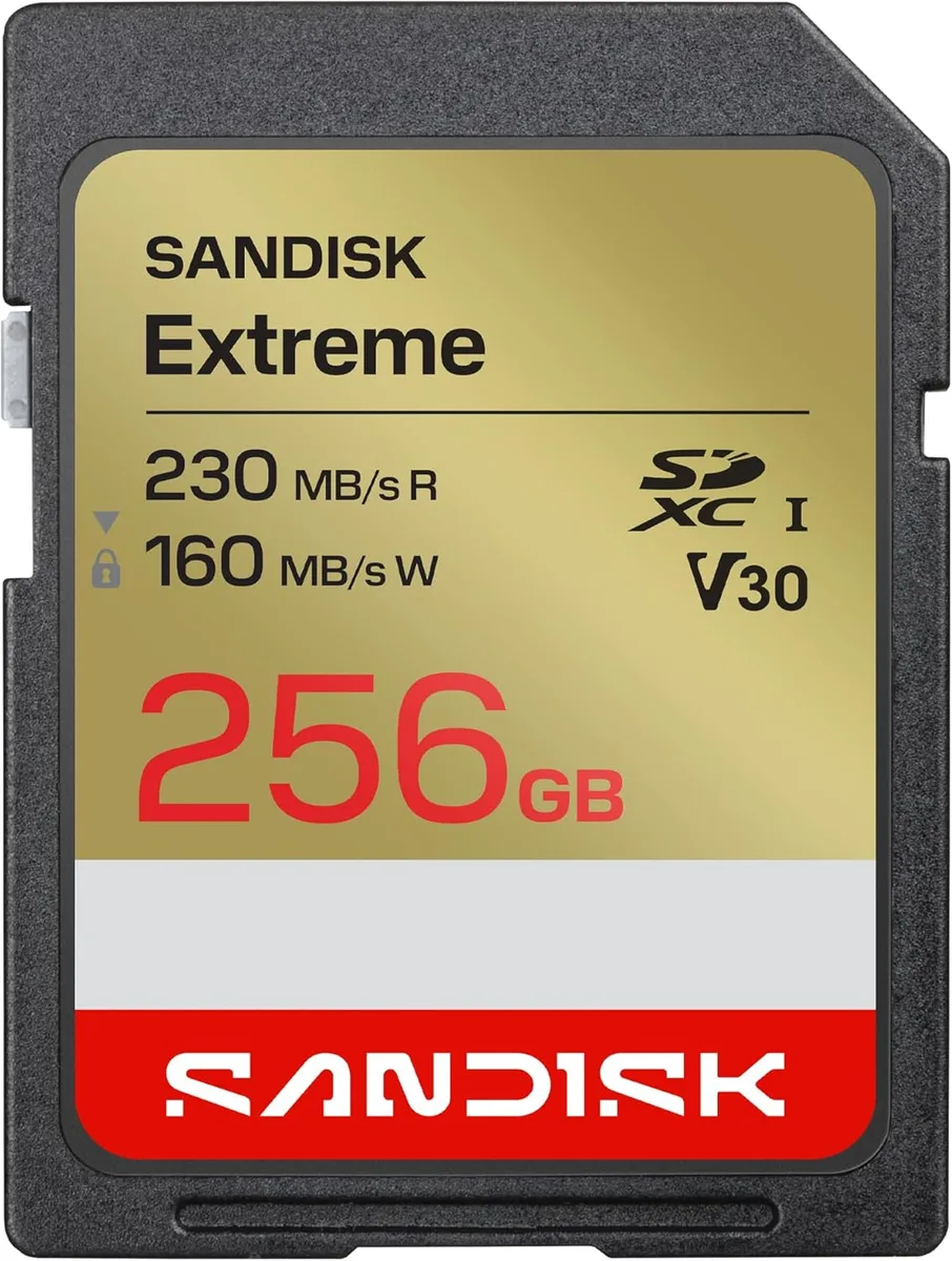 SanDisk SanDisk Extreme SDXC UHS-I 256GB memory card SDSDXV9-256G-GUCIN — photo du produit