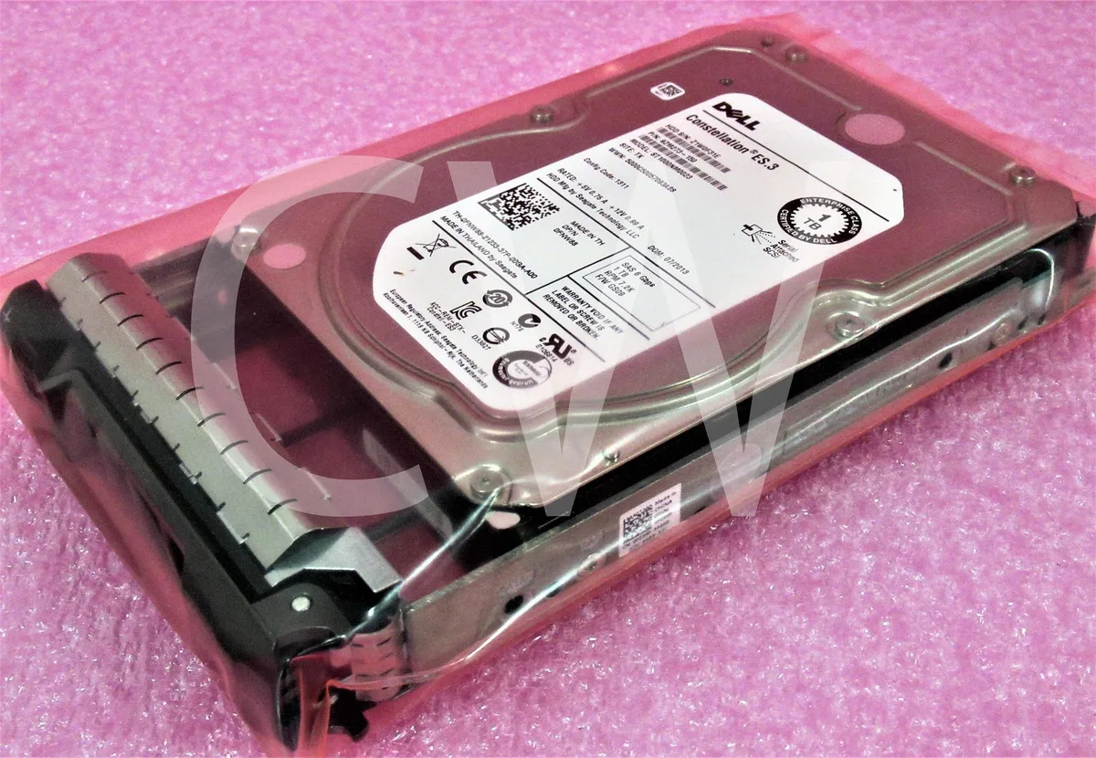 Silver 3.5 inch SAS hard drive mounted in black Dell caddy