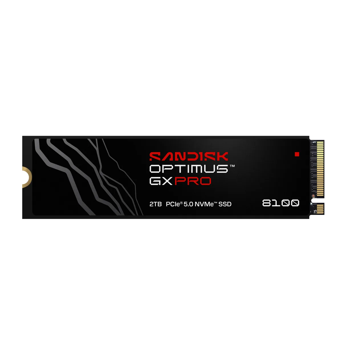 SanDisk SanDisk SDSP82200TAH-000E0 Optimus GX PRO 8100 2TB internal SSD — product photo