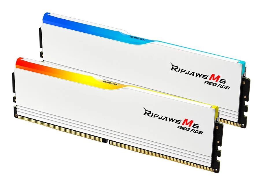 Two white aluminium DIMMs with RGB light bars