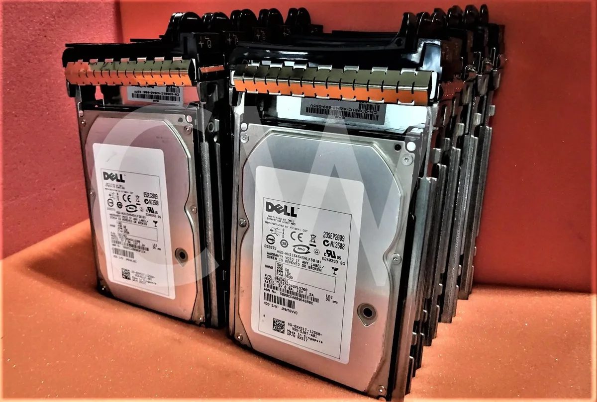 Ten silver 3.5 inch SAS hard drives in black caddies