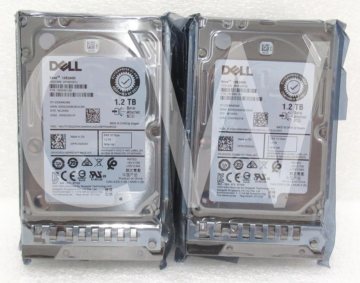 Ten 2.5 inch SAS drives in silver trays