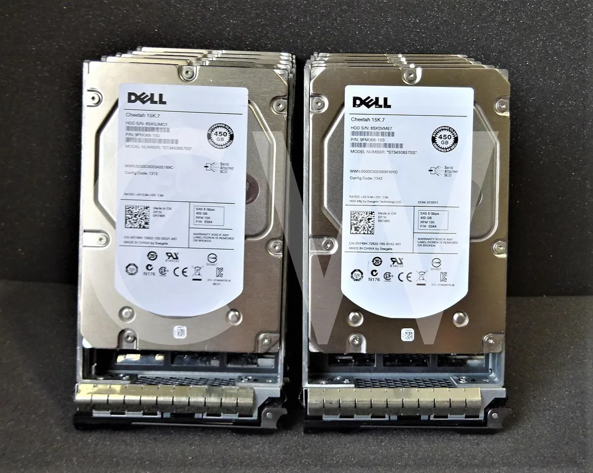 Ten 3.5 inch SAS hard drives in silver caddies