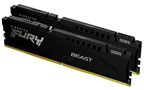 Two black 288-pin DDR5 desktop memory modules in a kit