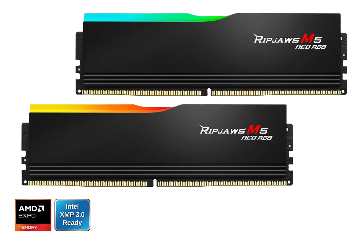 Two black DDR5 modules with RGB light bars