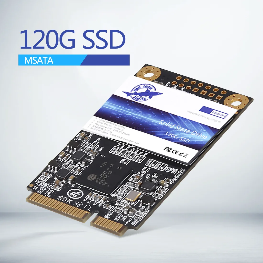 Dogfish Technology Dogfish Technology mSATA 120GB internal SSD — product photo