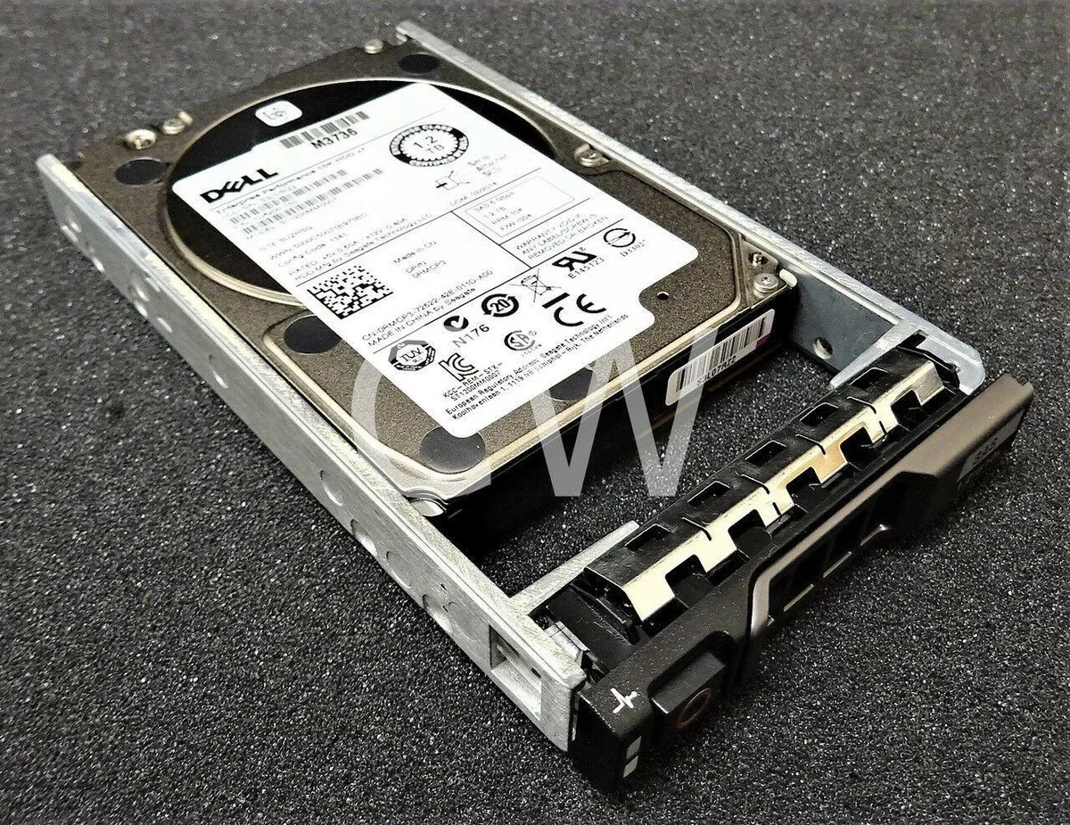 Silver 2.5 inch SAS hard drive mounted in black Dell R series tray
