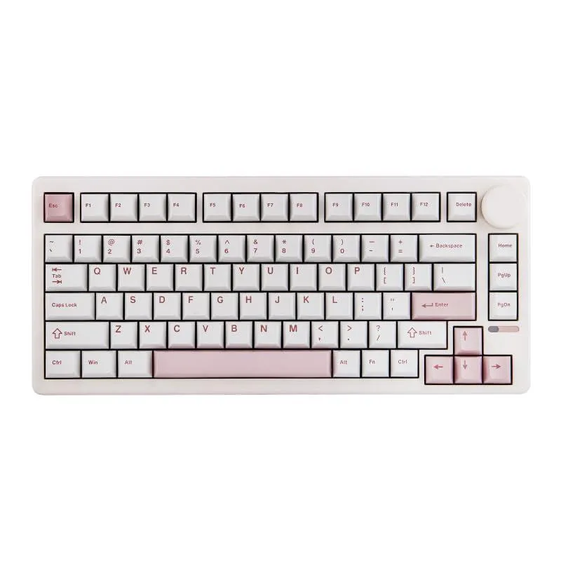 Epomaker Epomaker QK81 75% wireless mechanical gaming keyboard, 81 keys, white, RGB, Flamingo switch — product photo