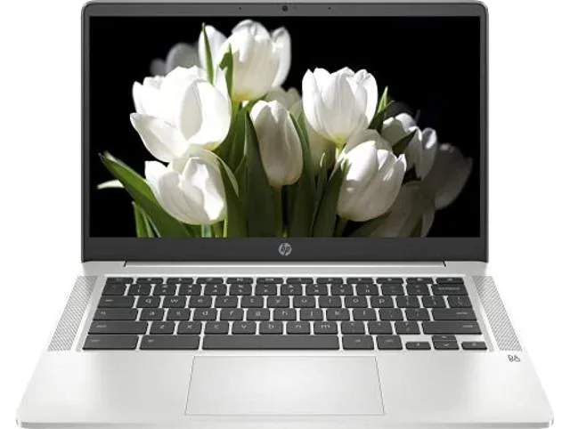 Silver 14-inch Chromebook with thin bezels and included SD card