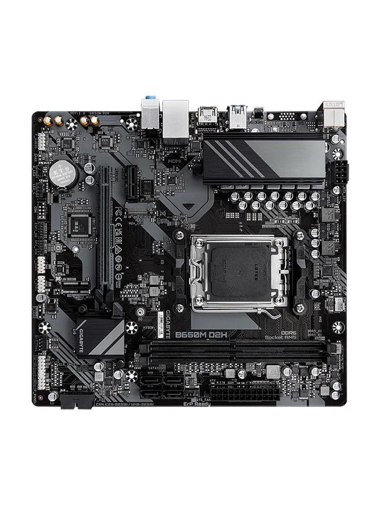 Green micro-ATX board, silver AM5 socket, two black DDR5 slots, matte black heatsinks