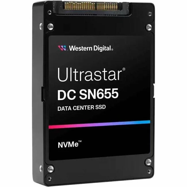 SanDisk SanDisk 0TS2510 61.44 TB internal SSD — product photo