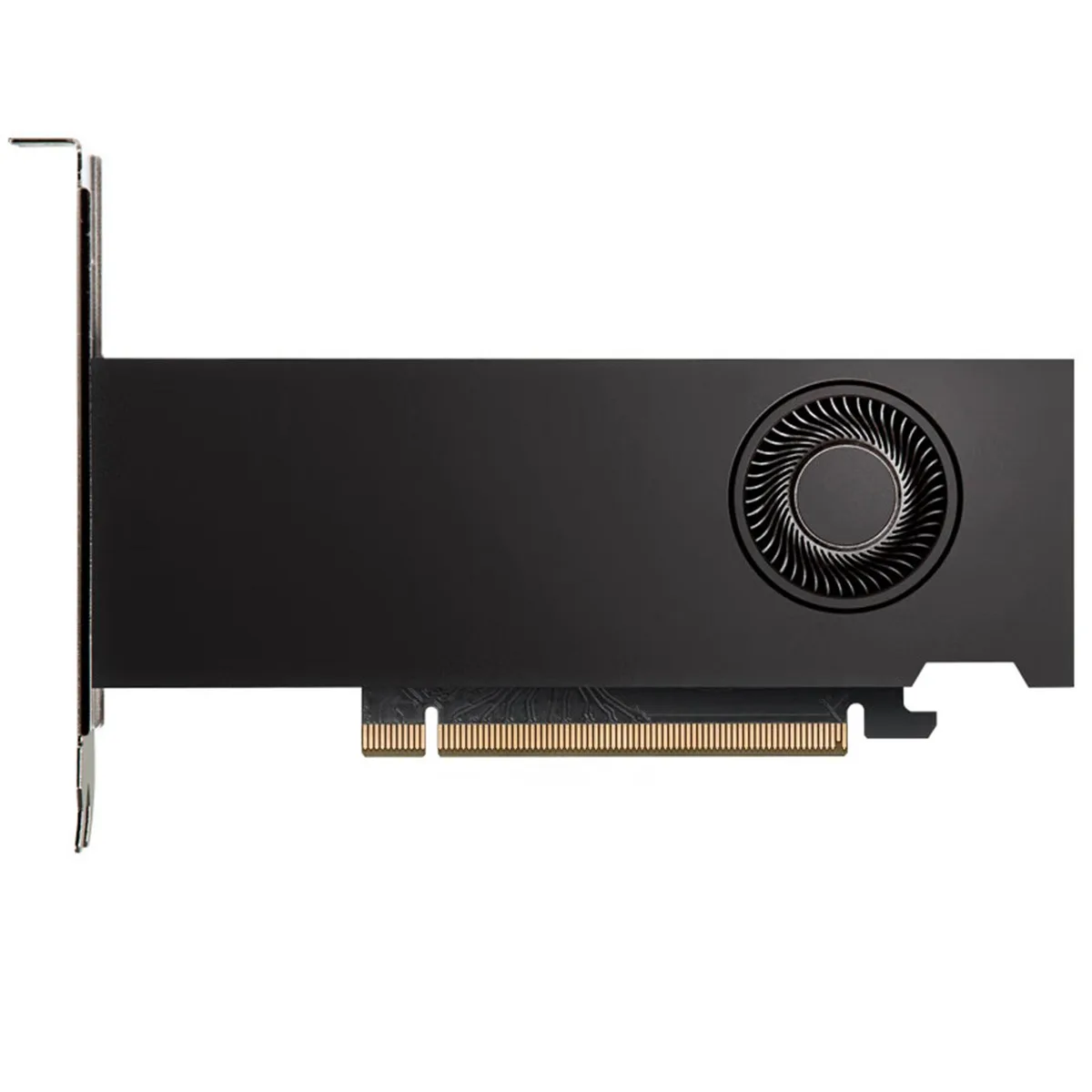 NVIDIA RTX 2000 Ada 16GB dual-slot half-height graphics card with active cooler and four Mini DP ports
