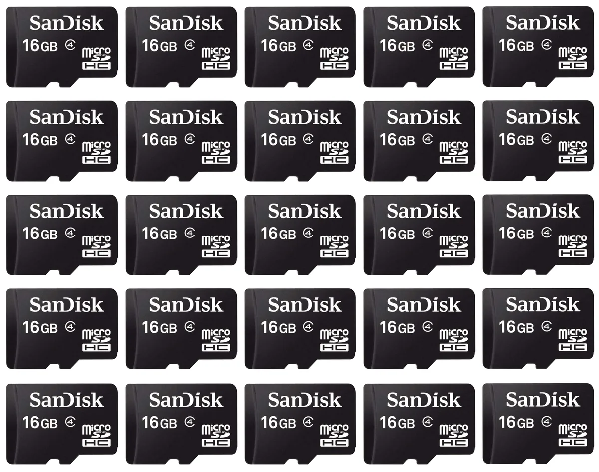 SanDisk SanDisk 25 x 16GB microSDHC Class 4 SDSDQM-016G with Cases — תמונת המוצר