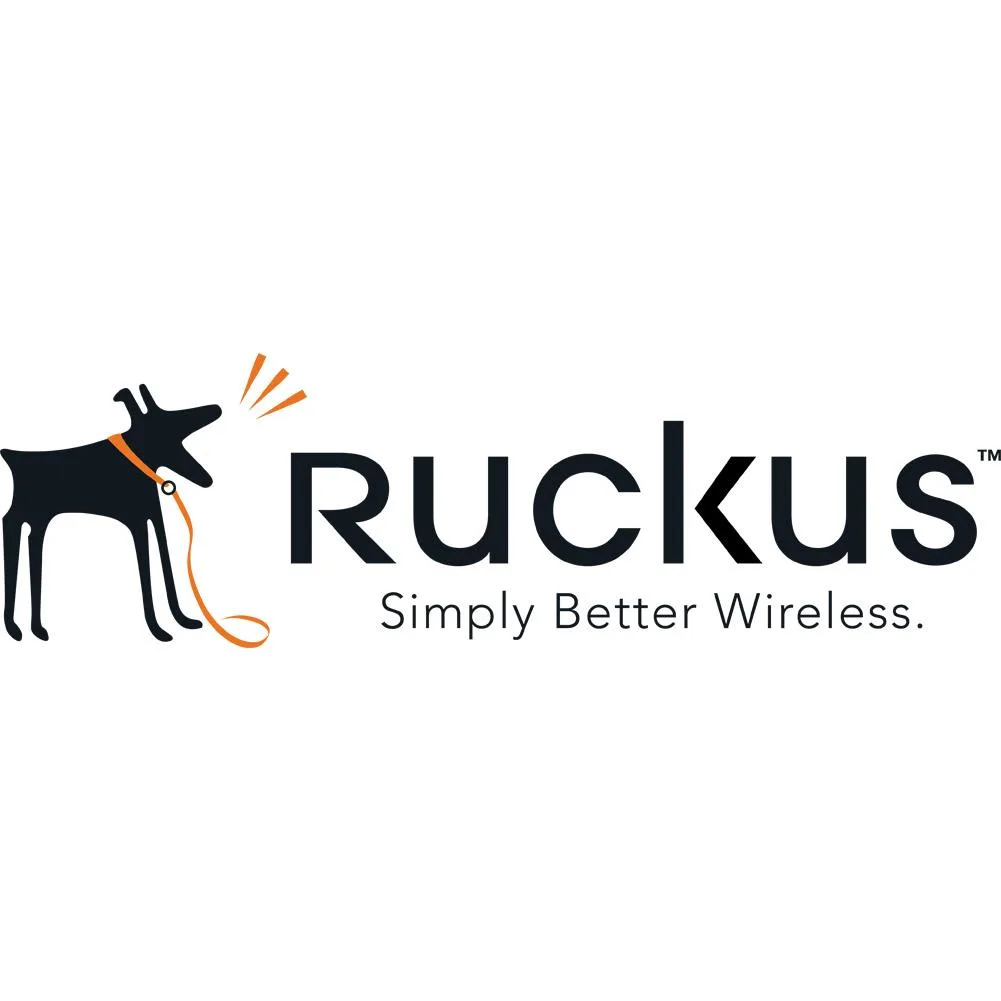 RUCKUS WIRELESS RUCKUS WIRELESS RPS19I 650W AC Intake Airflow Power Supply — photo du produit