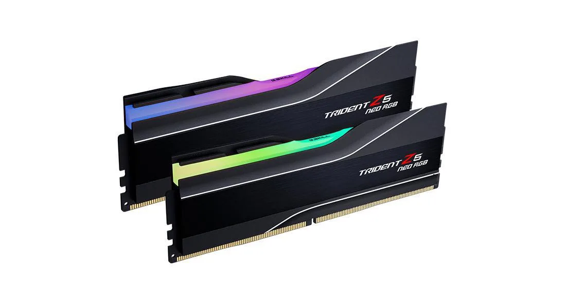 Two black DDR5 DIMMs with RGB light bars
