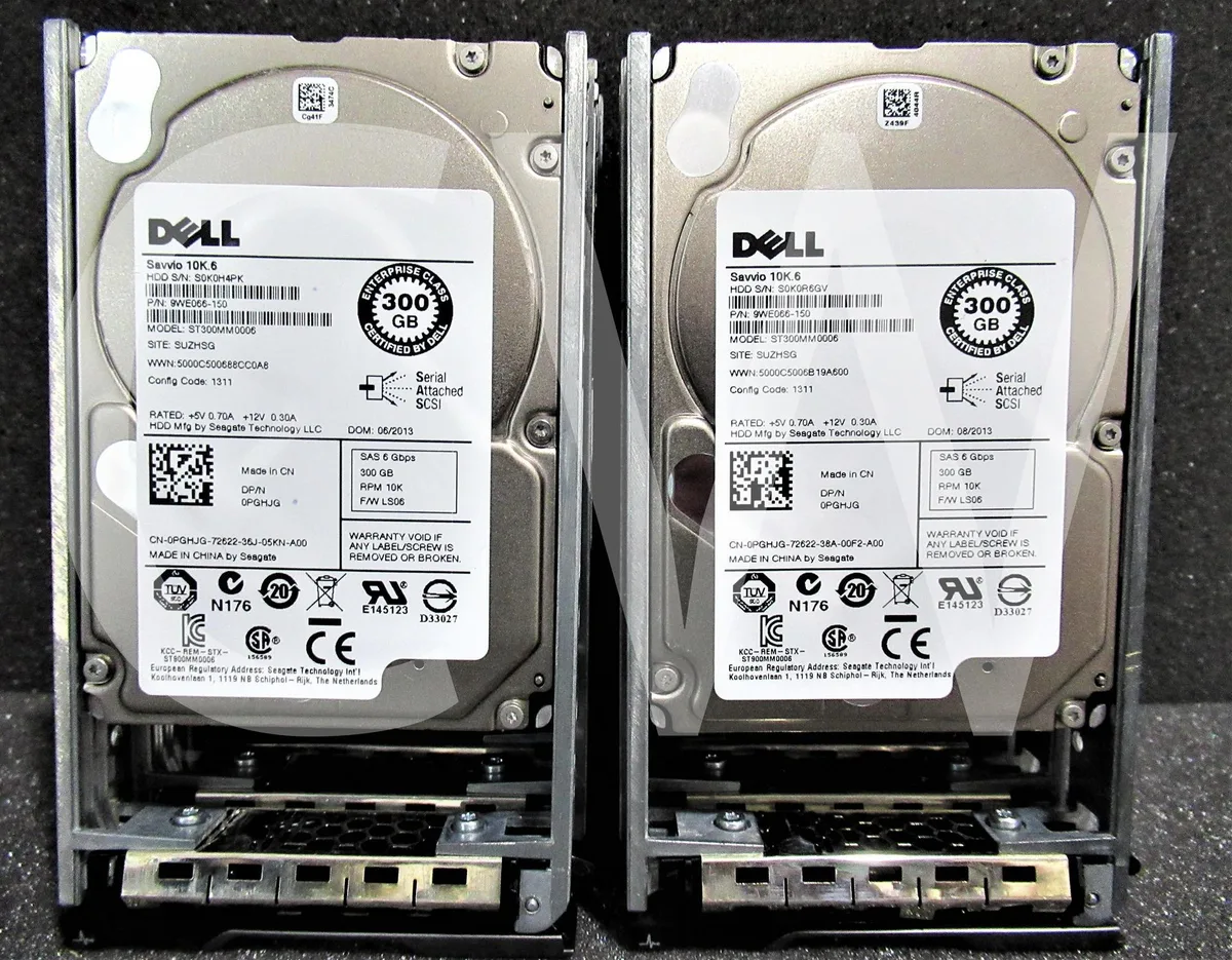 Silver 2.5 inch SAS hard drive with black Dell caddy tray