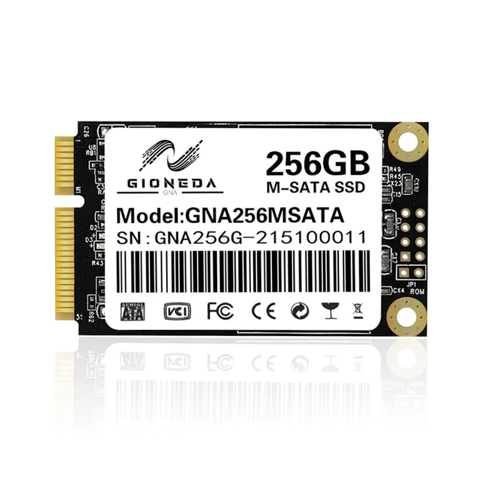 GIONEDA GIONEDA mSATA 256GB internal SSD — product photo