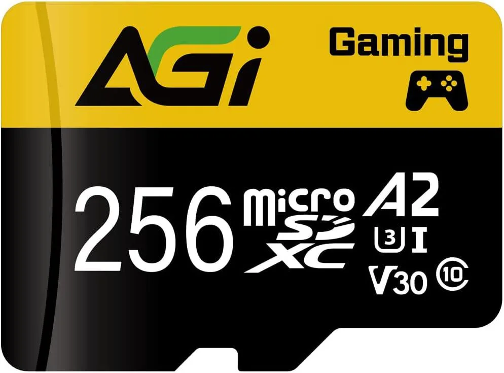 AGI AGI TF138 256GB microSDXC U3 V30 A2 98/70 MBs — صورة المنتج