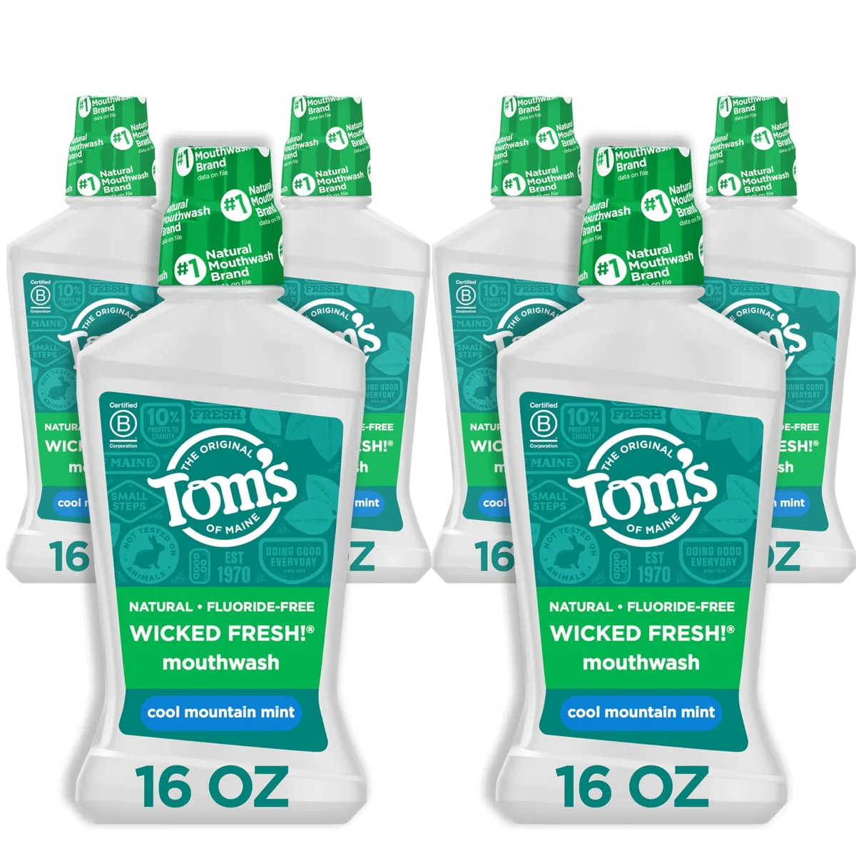  Tom's of Maine US04907A Mouthwash 16 oz 6-Pack Cool Mountain Mint — product photo