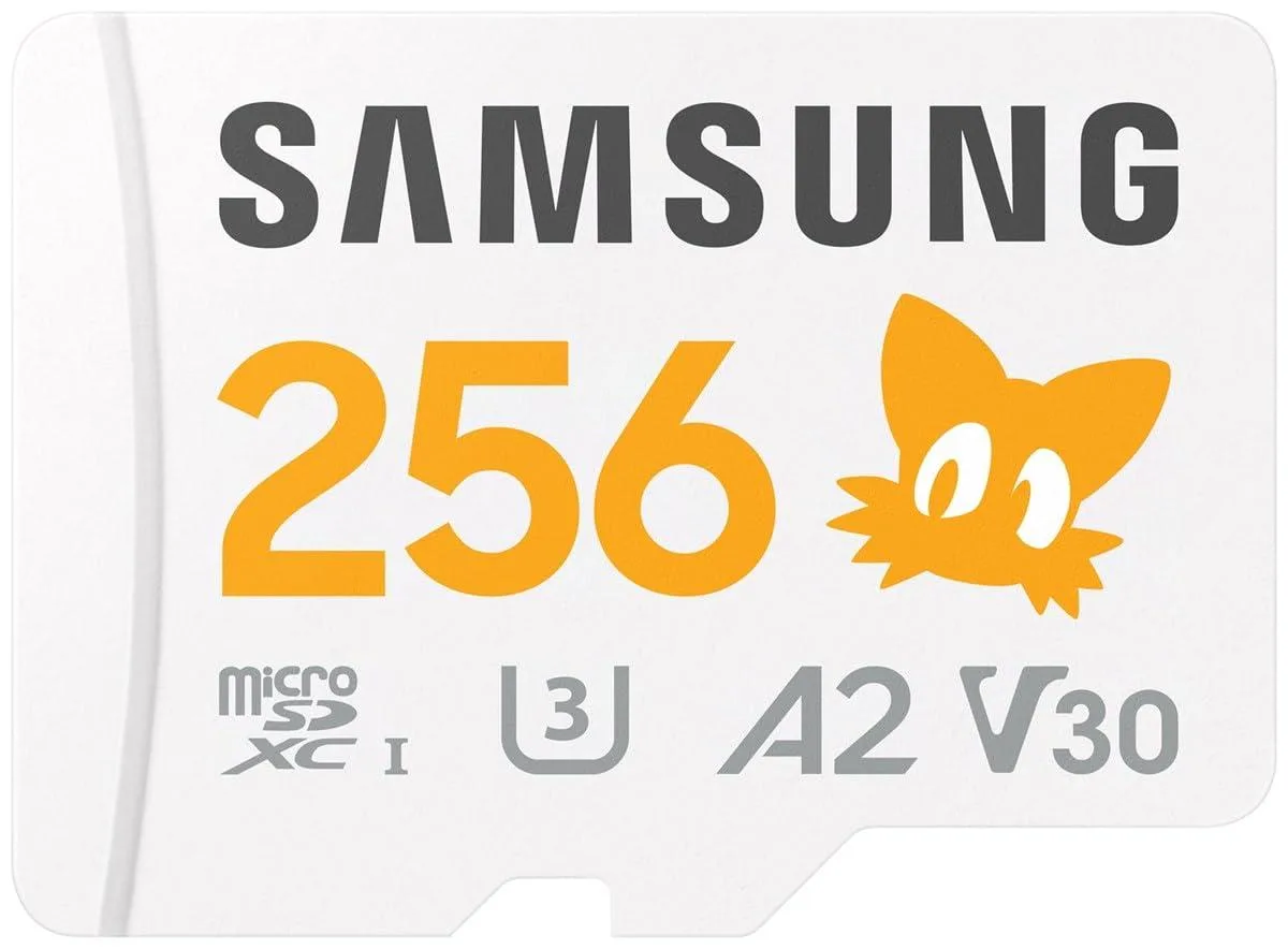 SAMSUNG SAMSUNG Sonic Pro Plus microSDXC 256 GB 180 MB/s memory card — 商品写真