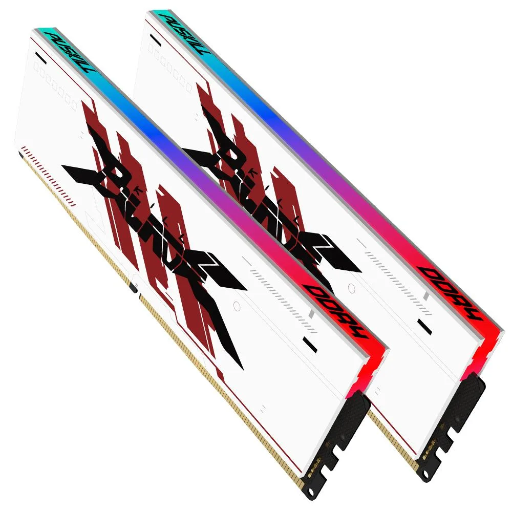 Two black aluminium heatspreader DIMMs with RGB lighting
