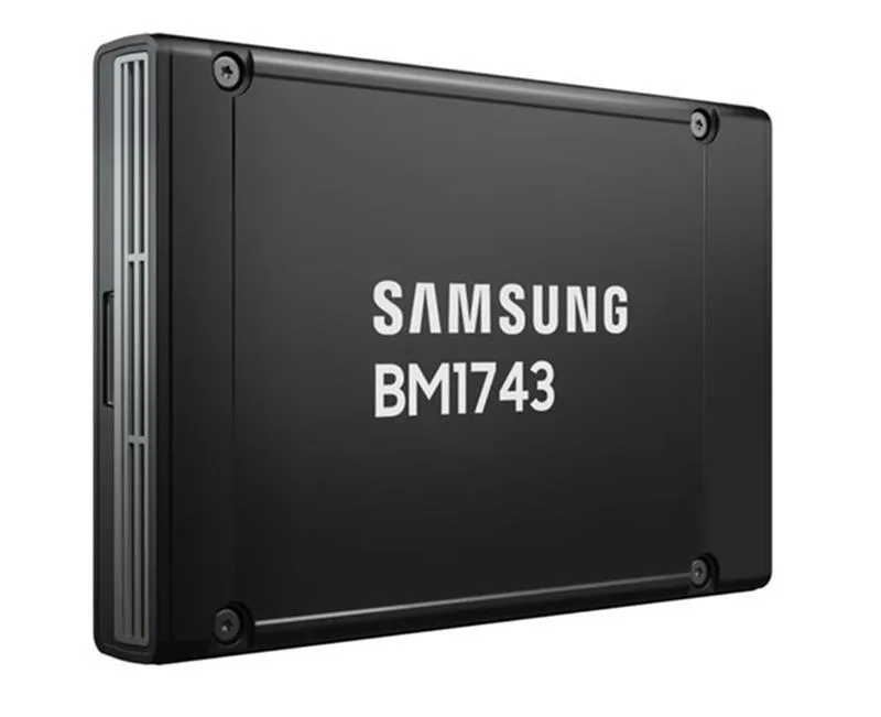 SAMSUNG SAMSUNG BM1743 MZWMO61THCLF-00AW7 61.44TB enterprise SSD — productfoto
