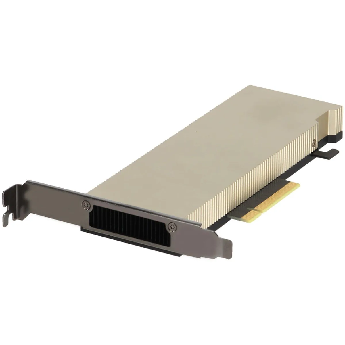DELL DELL 490-BHVP NVIDIA A2 Tensor Core 16GB GDDR6 60W FHHL GPU — foto produk