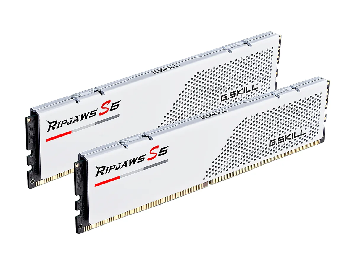 Two white low-profile DDR5 modules side by side
