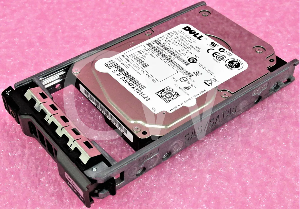 Silver 2.5 inch SAS hard drive in black Dell R-series tray