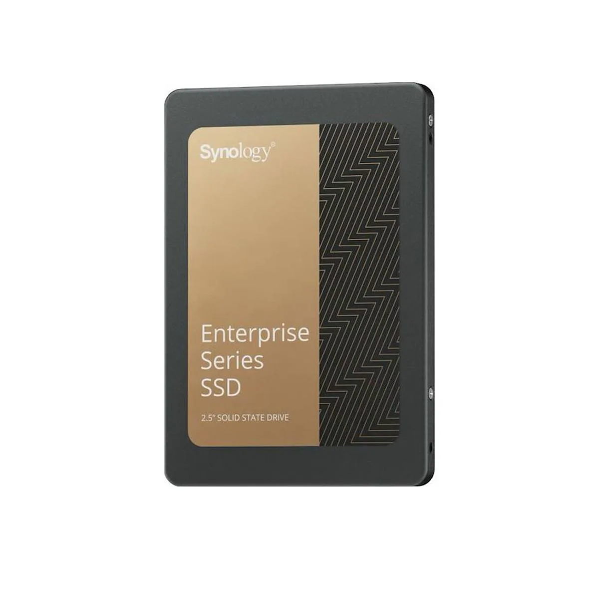 Synology Inc. Synology SAT5221 960GB 2.5" SATA internal SSD — product photo