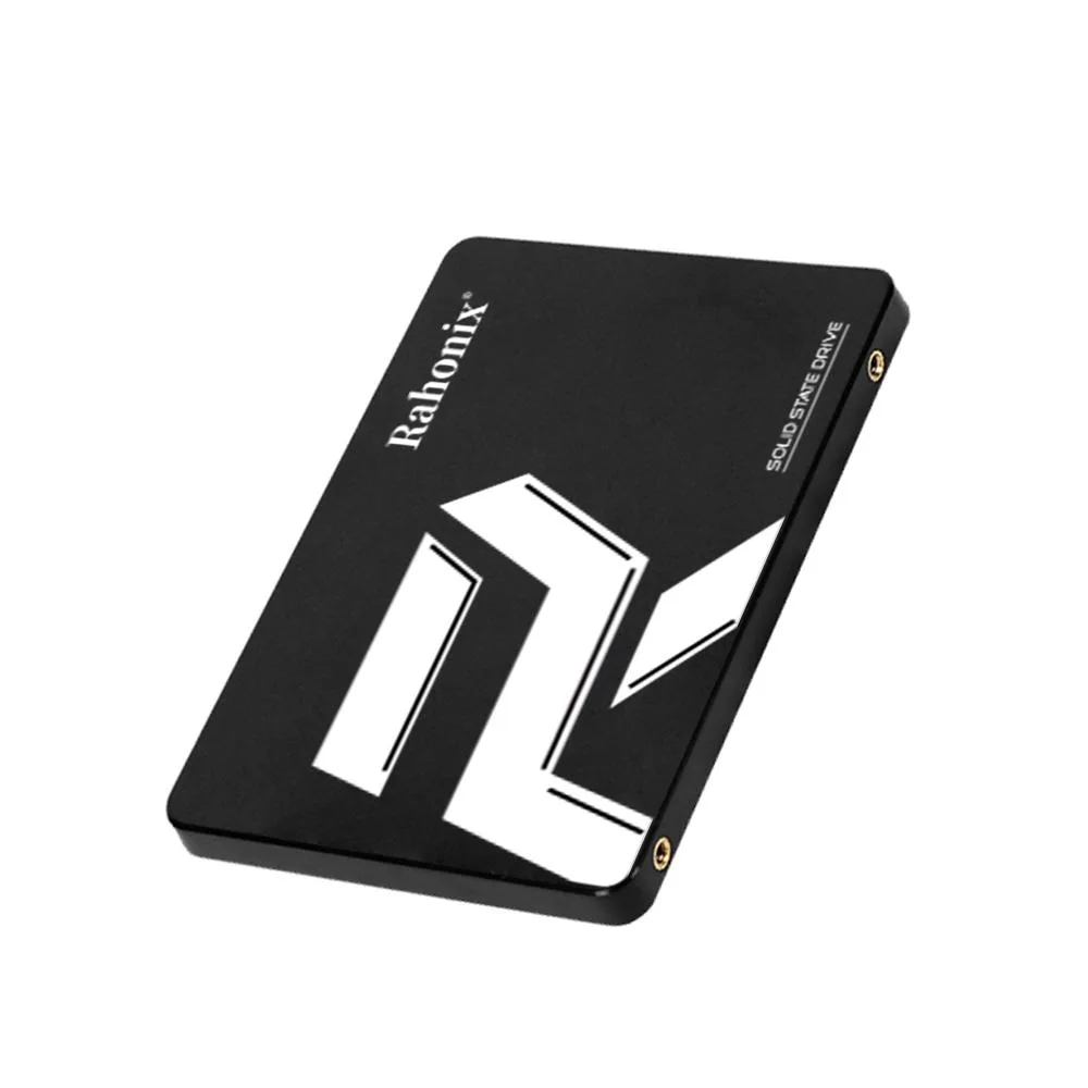 Silver rectangular 2.5 inch SATA SSD with label showing RS-256 256GB