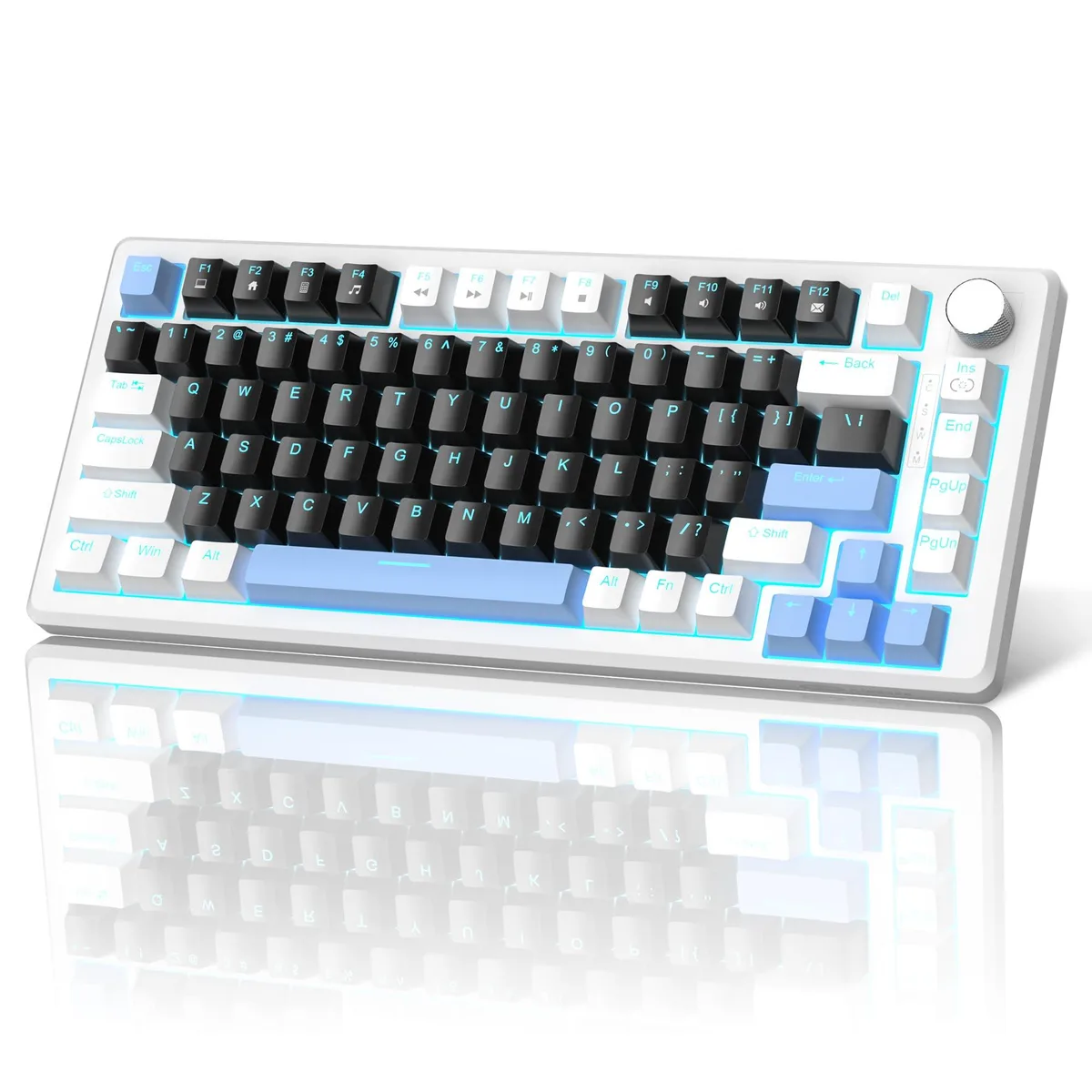 Compact 75% mechanical keyboard in black with ice blue backlighting and a side control knob