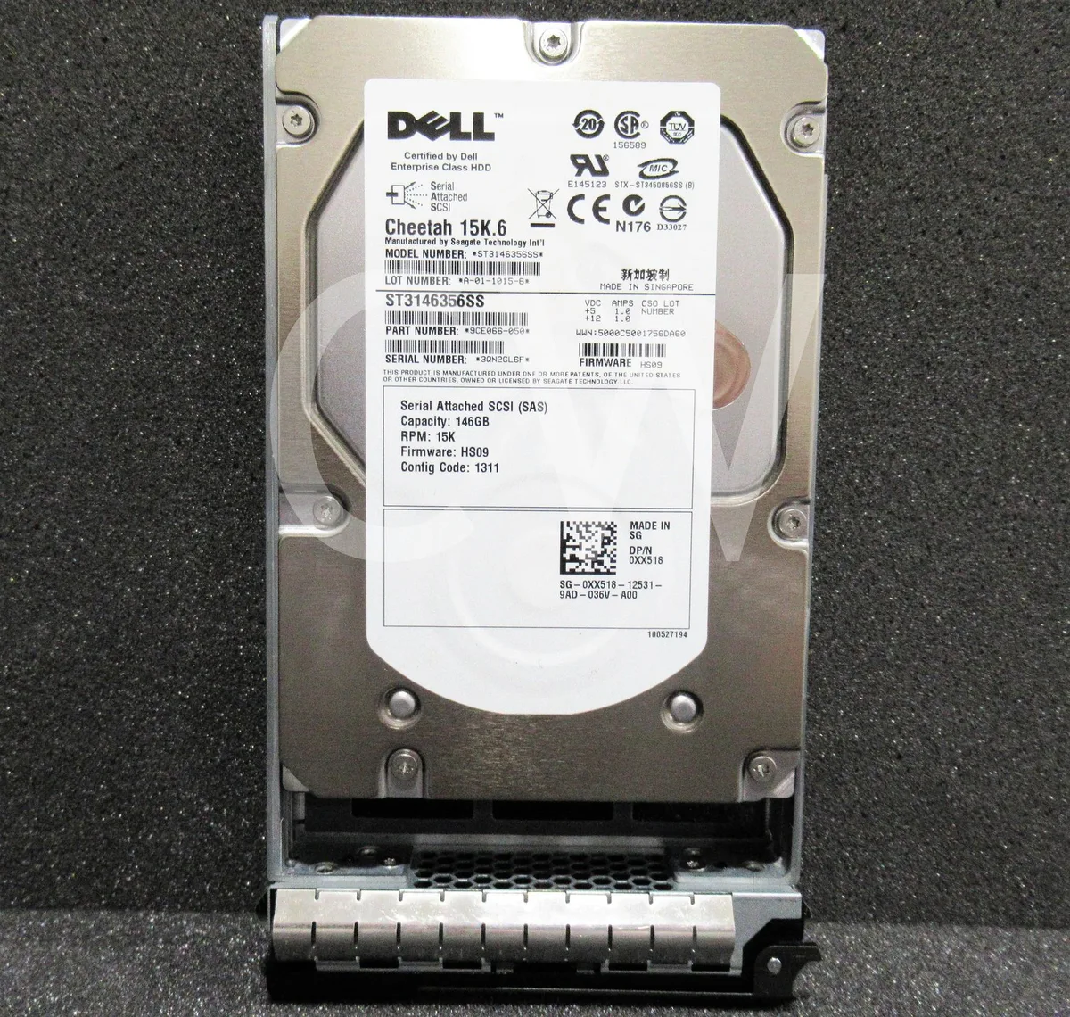 Silver 3.5 inch SAS hard drive in Dell R-series caddy