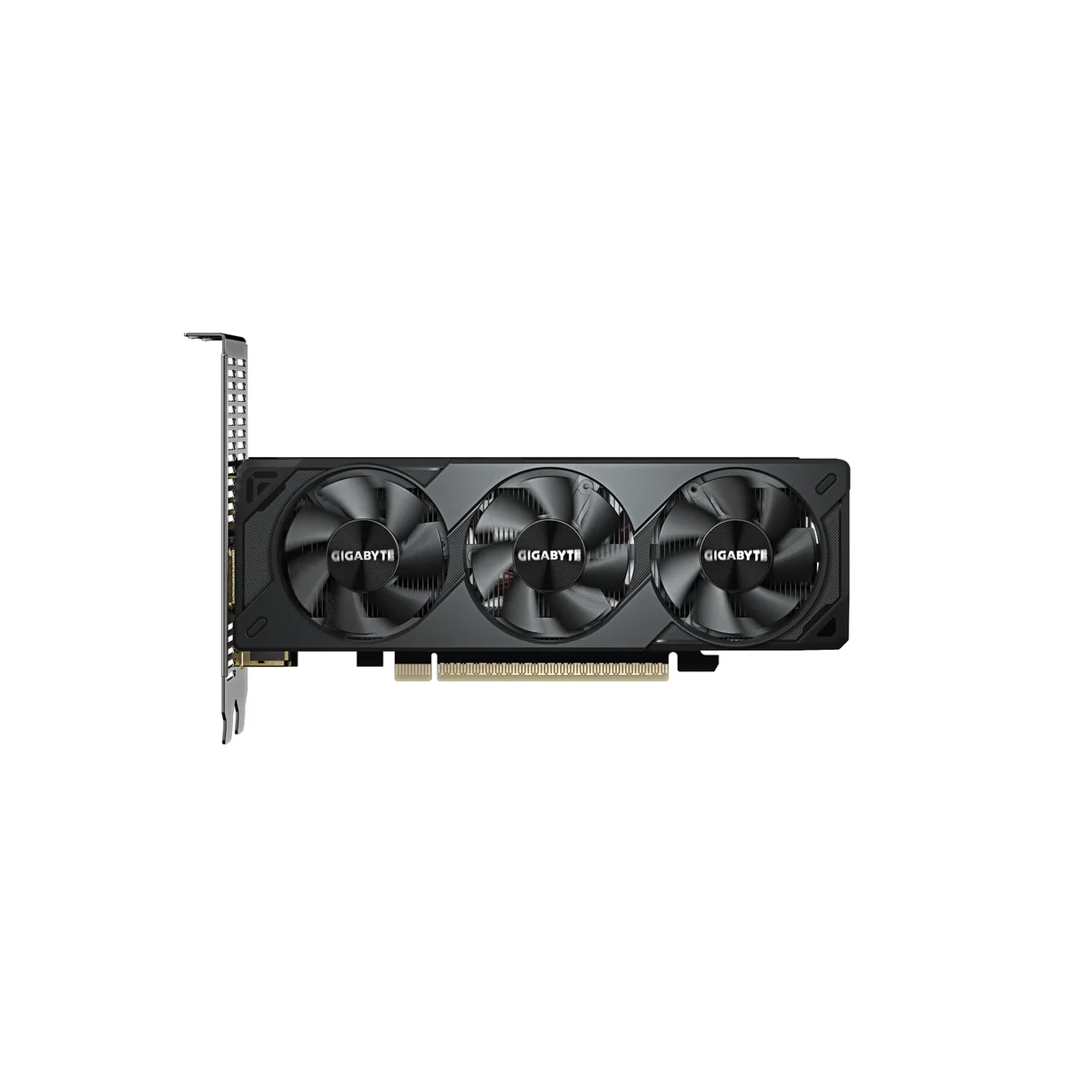 GIGABYTE GIGABYTE GV-N5050OC-8GL Low Profile graphics card — product photo