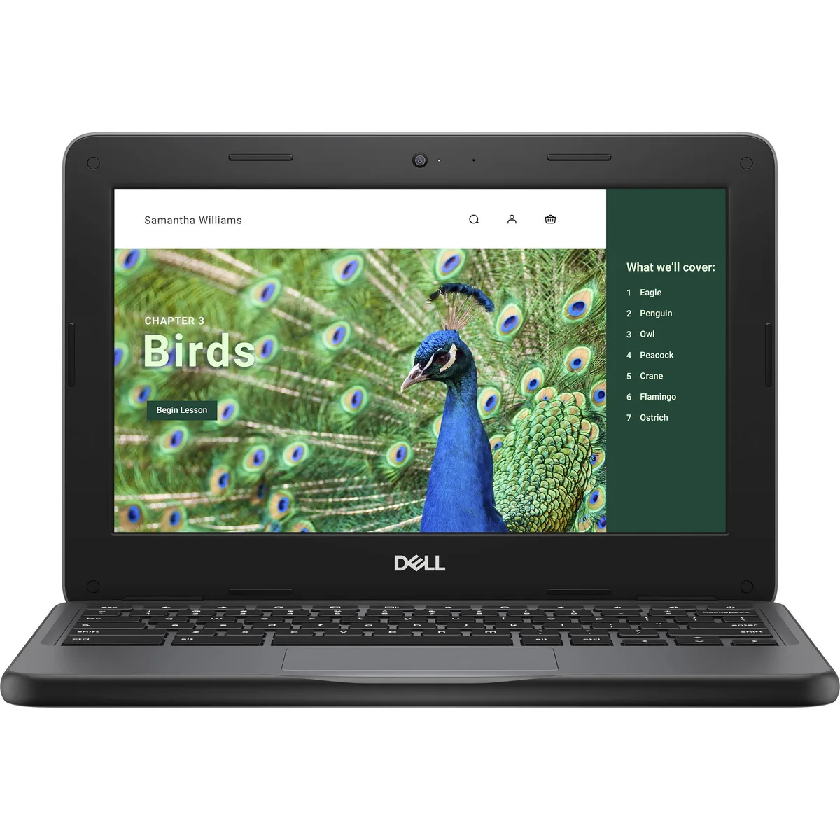 Grey clamshell Chromebook with 11.6 inch HD screen