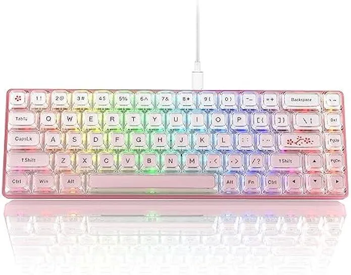 Compact 60 percent wired mechanical keyboard with matte translucent base and 68 keys including arrows