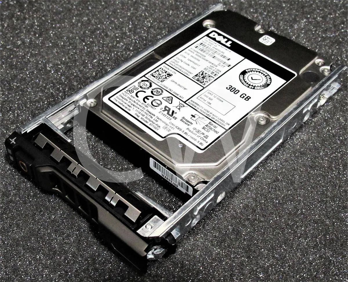 Silver 2.5 inch SAS hard drive in black Dell caddy tray