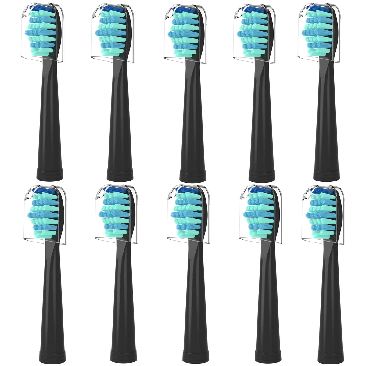 HOFAM FETEGT6372 oral care 10 pack medium bristles black — product photo