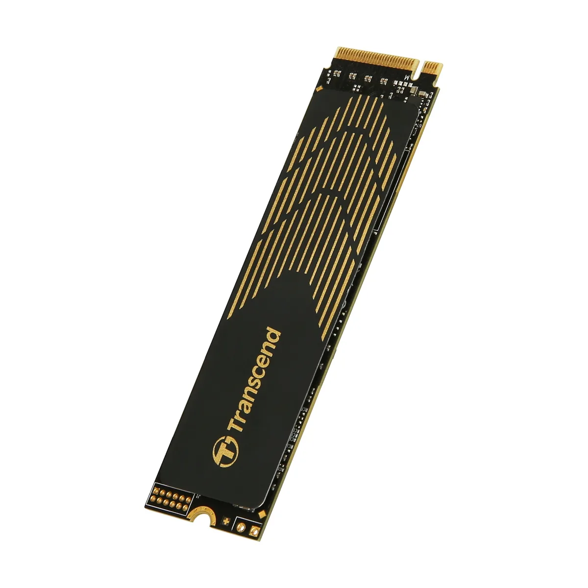Transcend Transcend TS1TMTE240S 1TB M.2 2280 PCIe 4.0 NVMe internal SSD — fotografija proizvoda