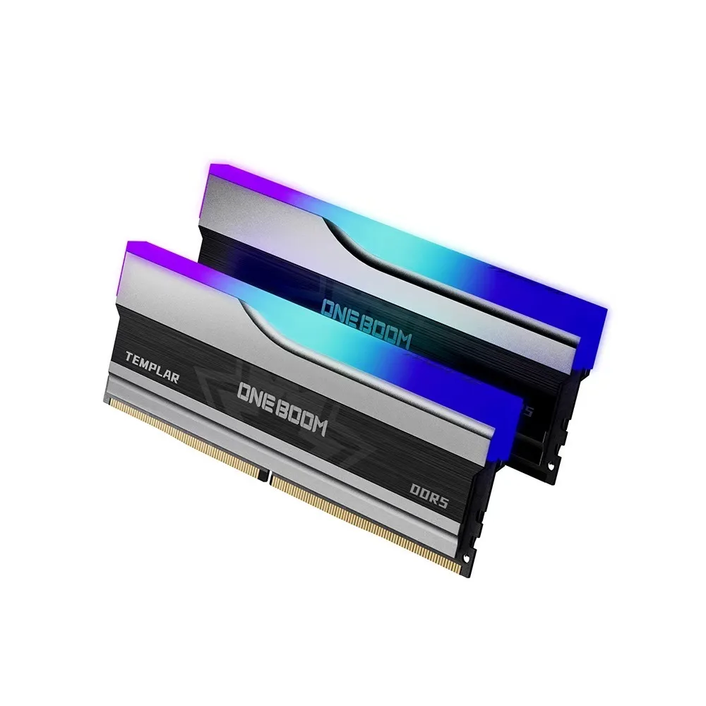 Two black and grey DDR5 desktop memory modules with aluminum heat spreaders and RGB light bars