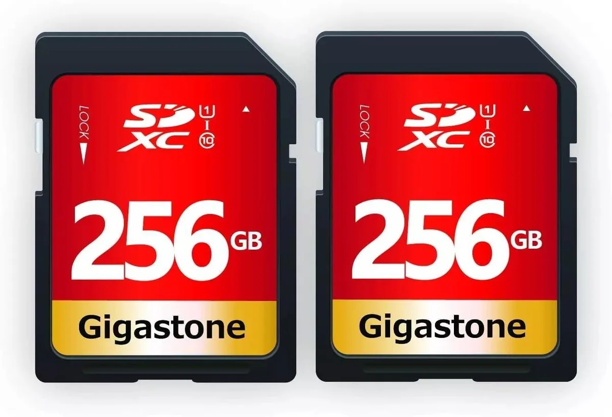 Gigastone Corporation Gigastone 256GB SDXC UHS-I U1 Class 10 Full HD Video 2 Mini Cases — preces foto