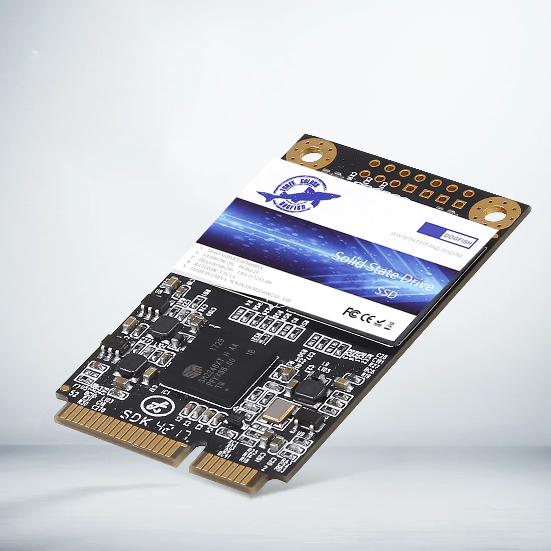 Dogfish Technology Dogfish Technology 64GB mSATA internal SSD — photo du produit