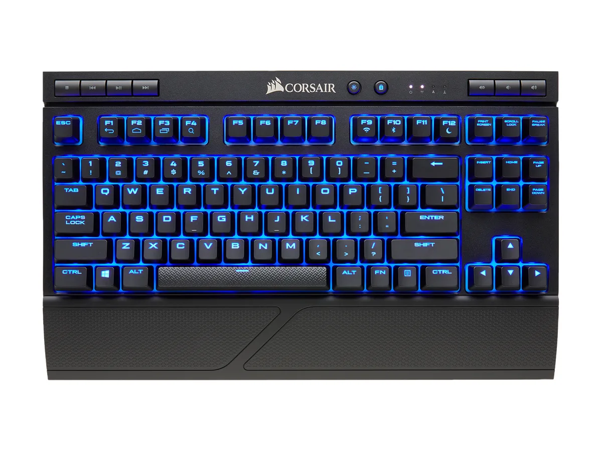 Compact black tenkeyless mechanical keyboard with blue LED backlighting and detachable palm rest