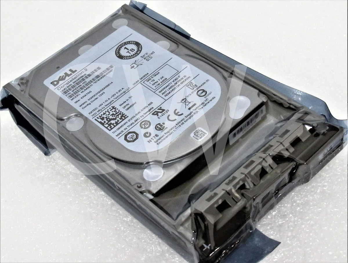 Silver 2.5 inch SAS hard drive mounted in black Dell caddy tray