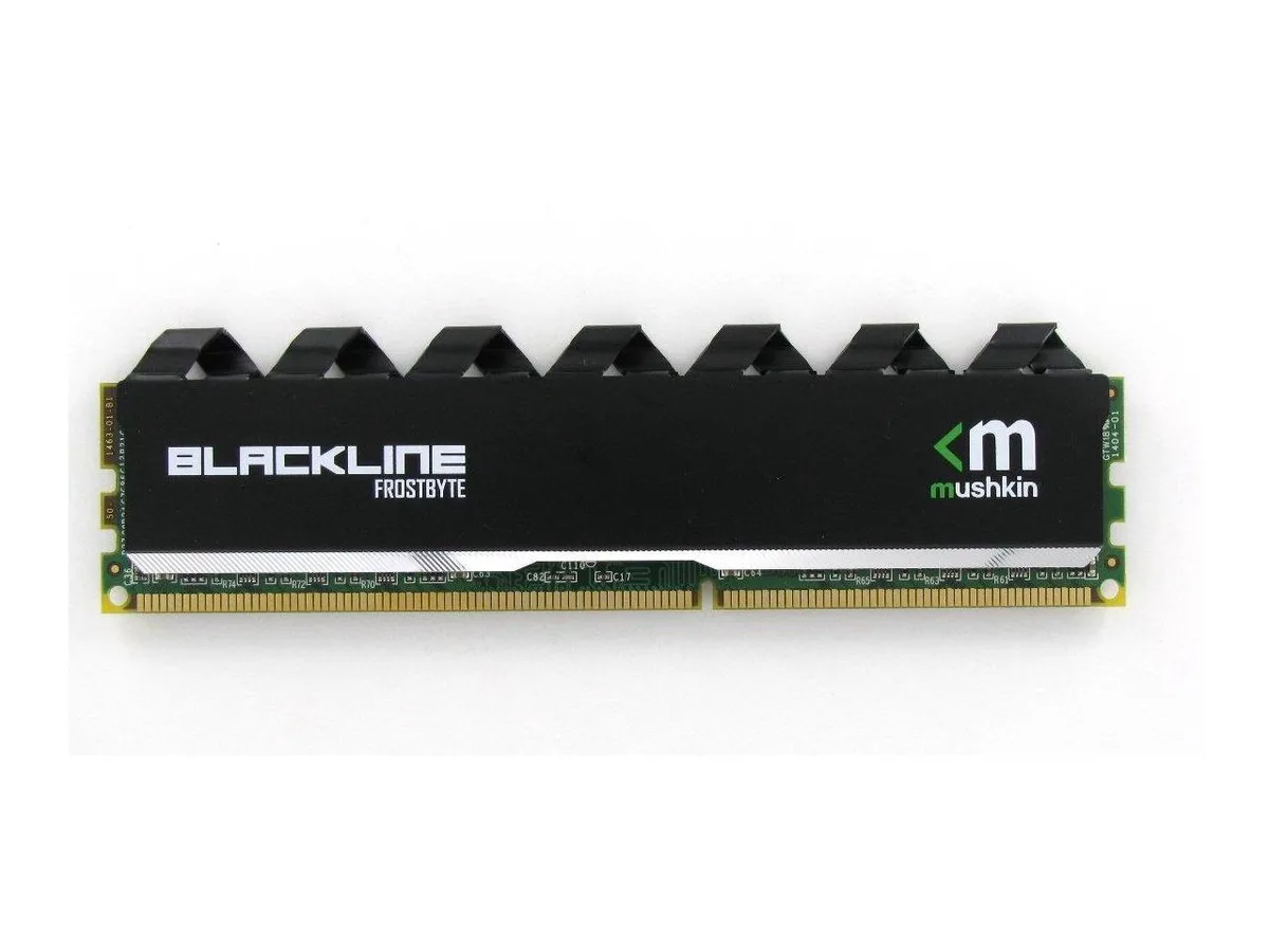 Blackline DDR4 UDIMM module with FrostByte-G3-B heatsink