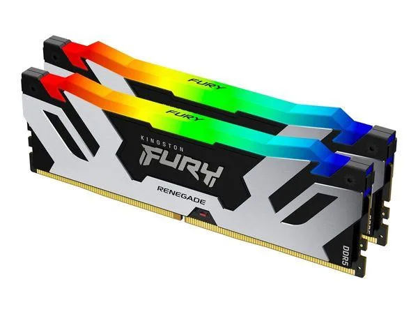 Two silver-black DDR5 sticks with RGB lighting