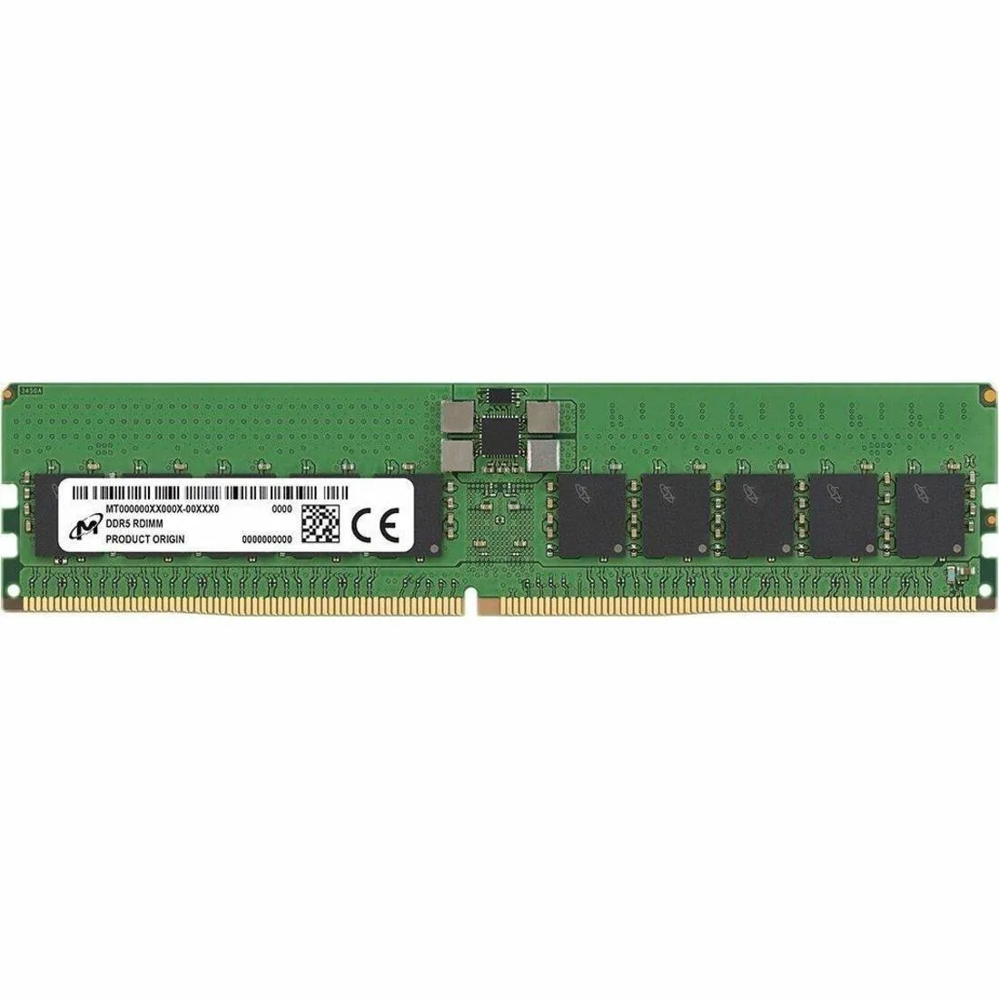 Green rectangular DDR5 RDIMM module with black memory chips and gold contacts