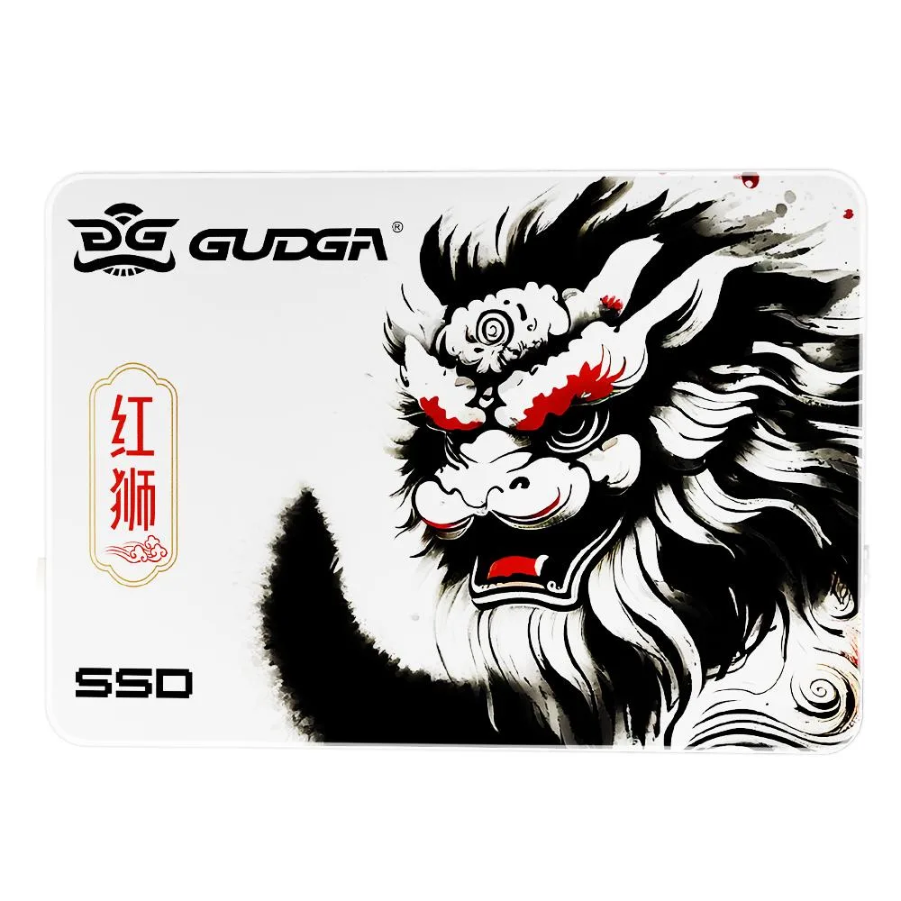 GUDGA GUDGA GSL Series 256GB 2.5 Inch SATA internal SSD — photo du produit