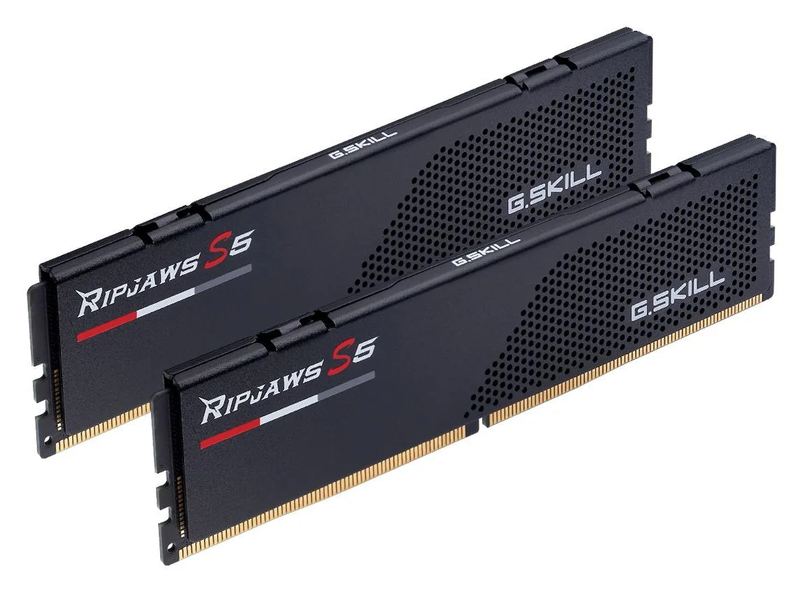 Two black DDR5 memory modules with low-profile heatsinks
