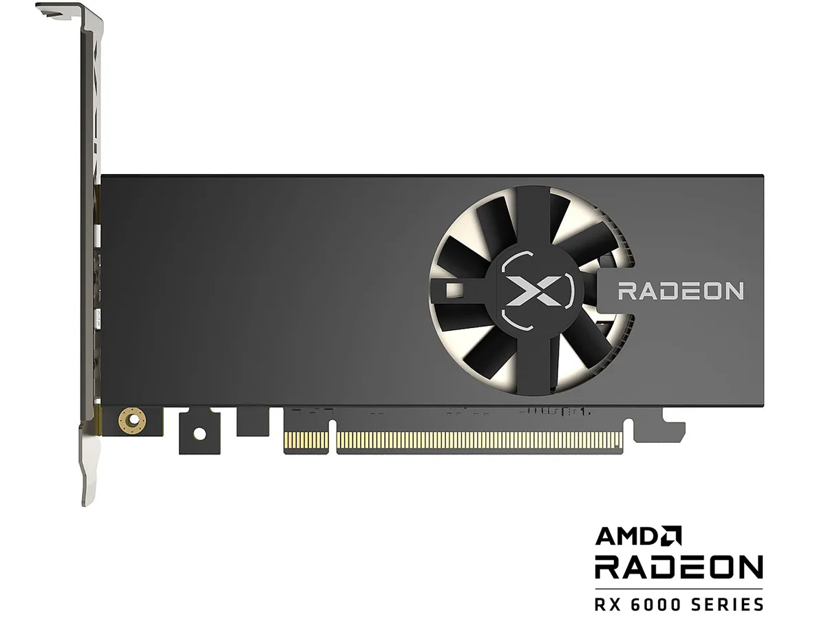 XFX XFX RX-64XL4SFG2 Radeon RX 6400 graphics card 4GB GDDR6 — product photo